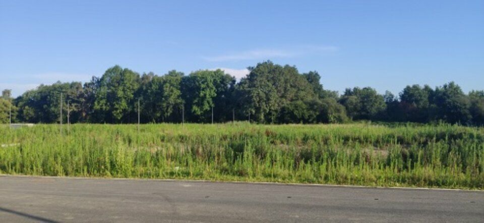 Vente terrain 55000 m² non divisibles