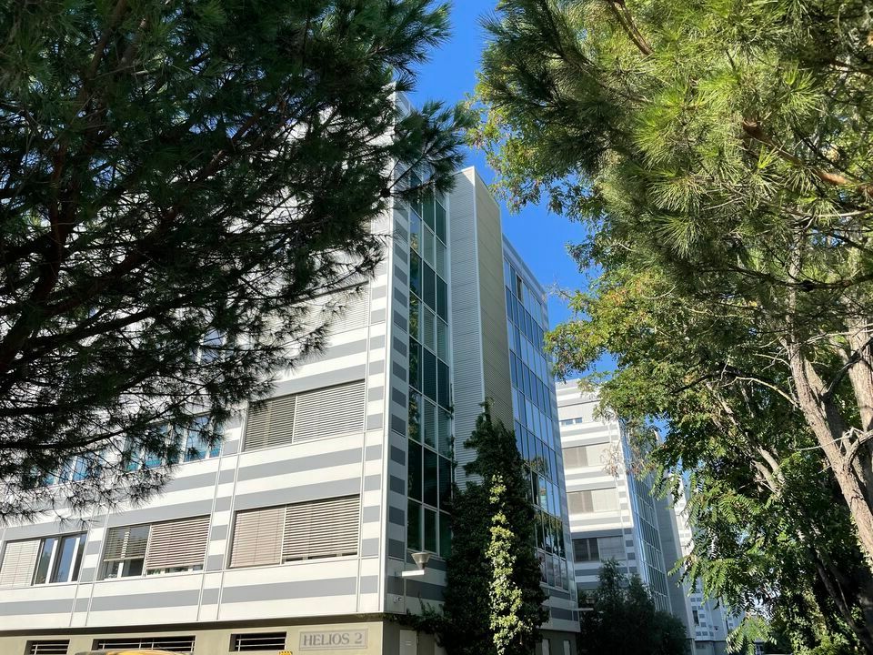 Location bureau - 342 m²