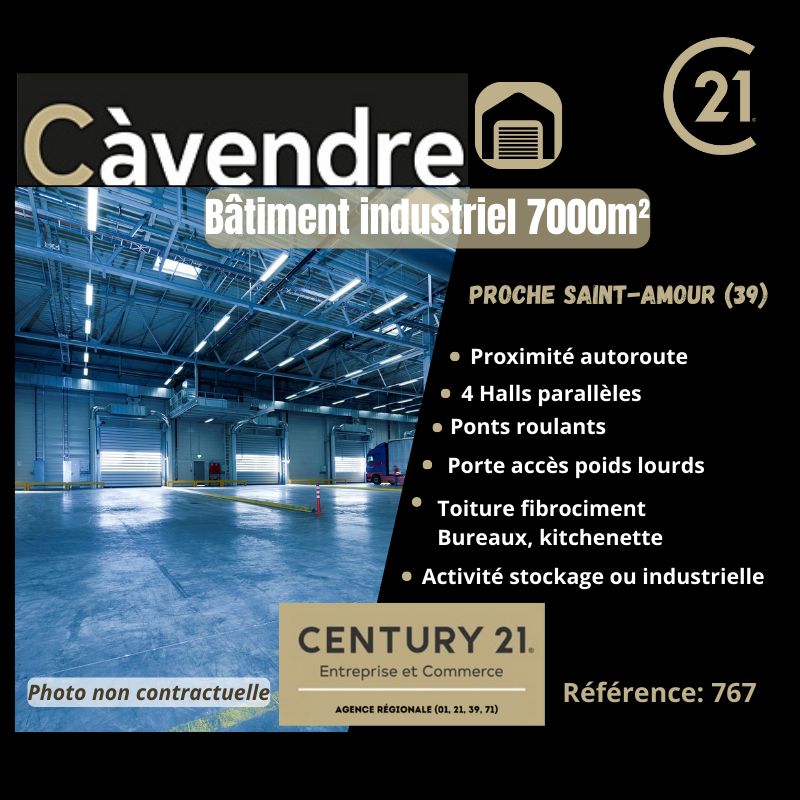 Vente local 7000.00 m² à SAINT AMOUR