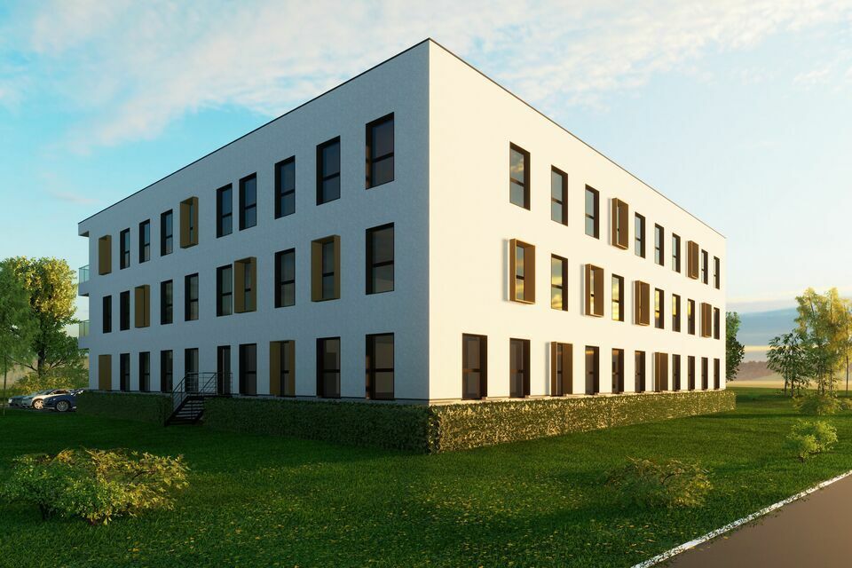 ESSEY LES NANCY - LA PORTE VERTE 