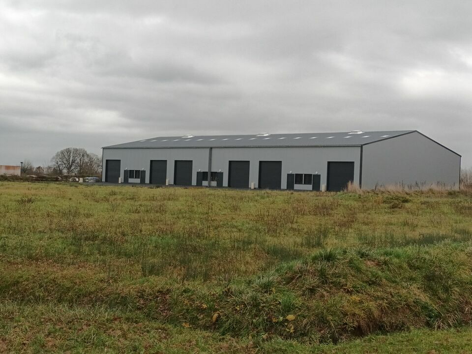 Location local d''activites 1320 m² divisibles à partir de 220 m²