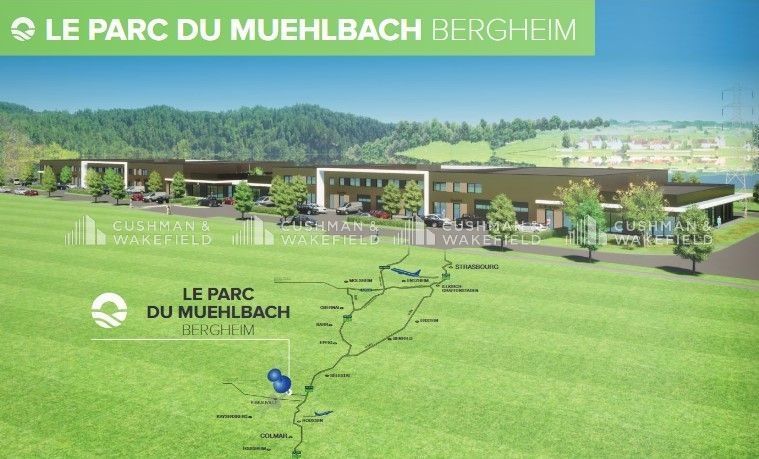 Vente terrain 14069 m² divisibles à partir de 2522 m²