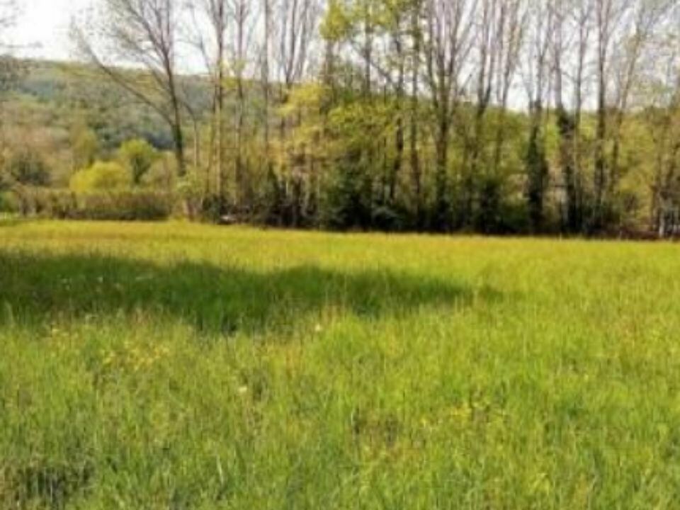 Vente terrain 9000 m² non divisibles