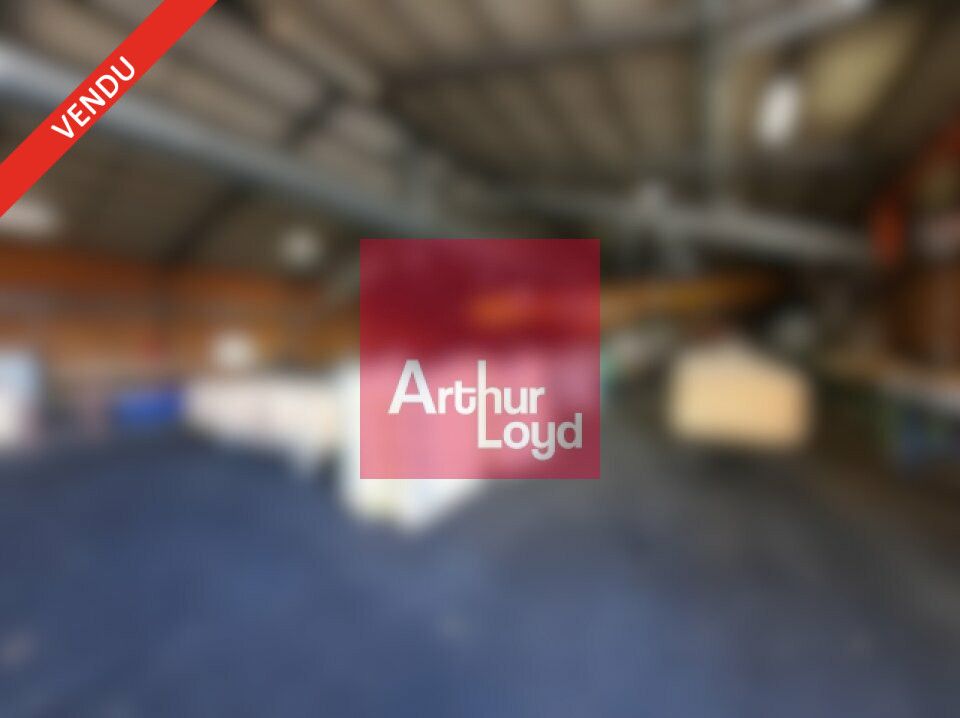 Vente entrepot 2824 m² non divisibles