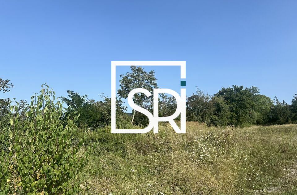 VENTE TERRAIN POUR PROJET PROFESSIONNEL – 10 146 M² – AXE PASSANT – 03300 CUSSET