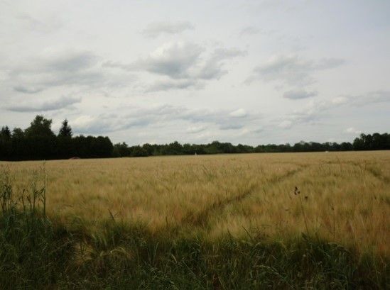Terrain à vendre Mareuil-sur-Ourcq (60890) - 30000 m²