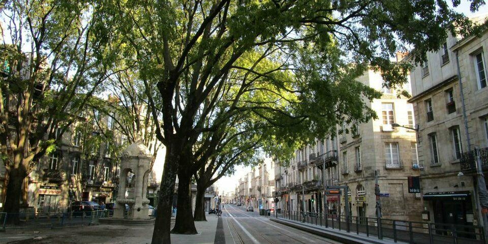 Location bureaux 250 m² non divisibles