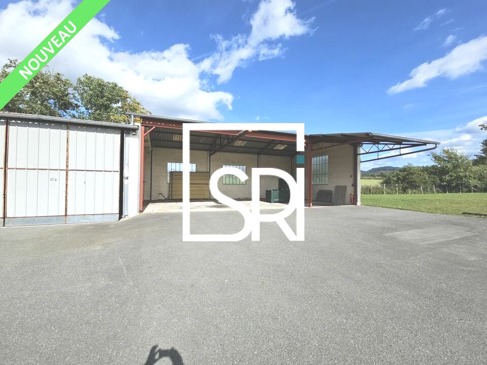 VENTE BATIMENT D'ACTIVITE / ENTREPOT - 63290 SECTEUR GRAND THIERS