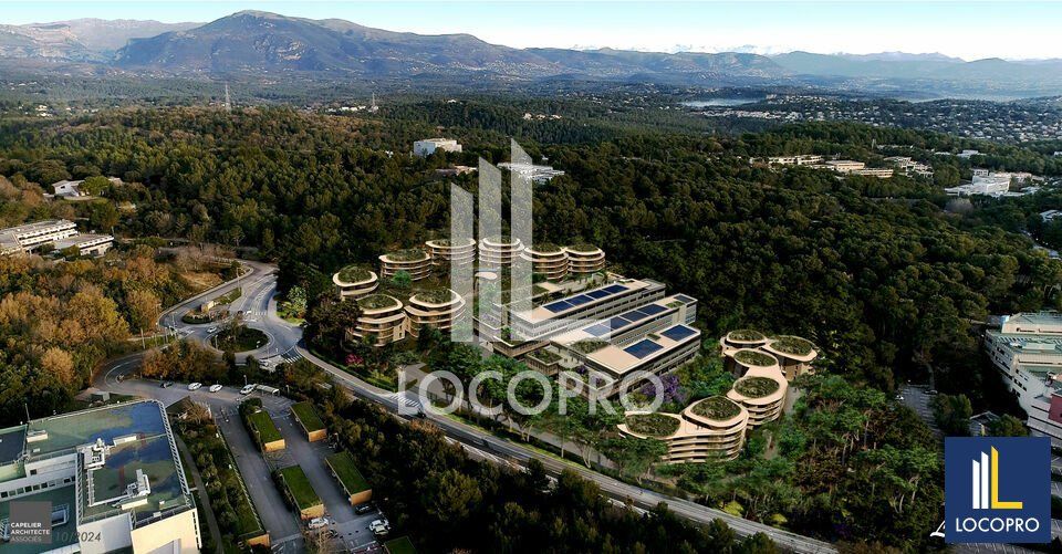 A LOUER - BUREAUX NEUFS A PARTIR DE 1000 M2 - SOPHIA ANTIPOLIS