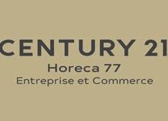 Location local commercial 336 m² à Saint-Fargeau-Ponthierry