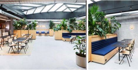 Location bureaux 280 m² divisibles à partir de 35 m²