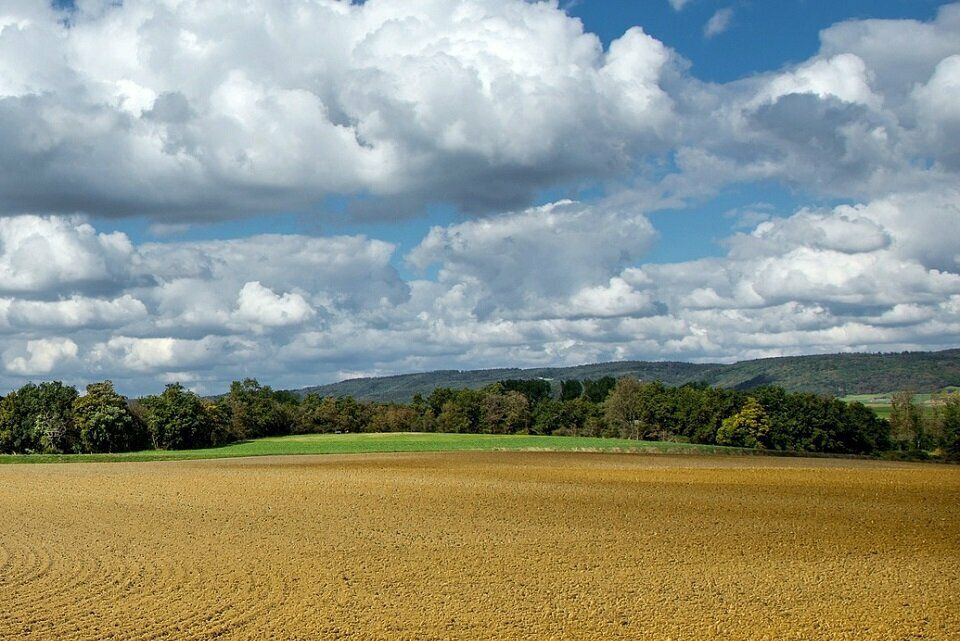 Vente terrain 26000 m² non divisibles