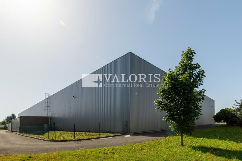 Location local d''activites 9623 m² non divisibles