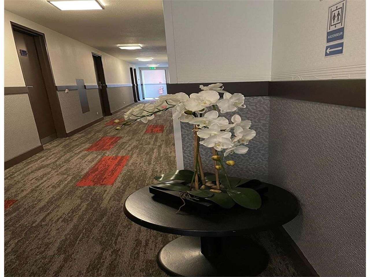 Vente fonds de commerce 1500.00 m² à LIMOGES