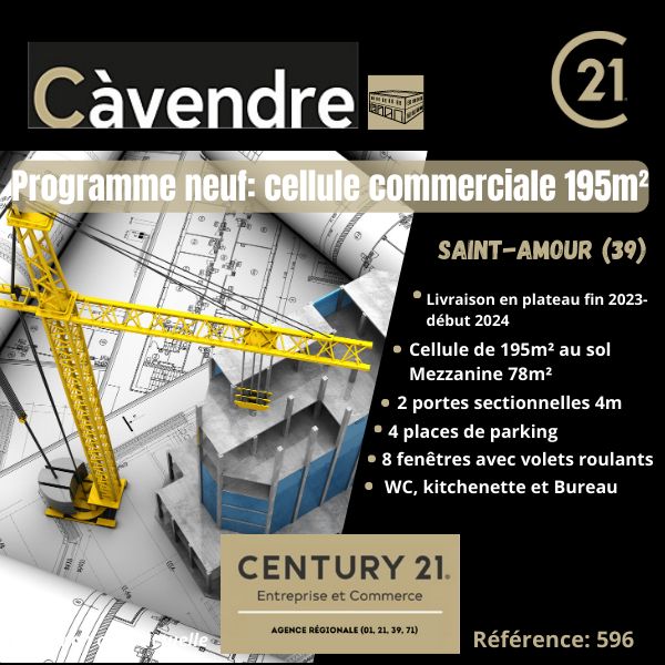 Vente local 195.00 m² à SAINT AMOUR