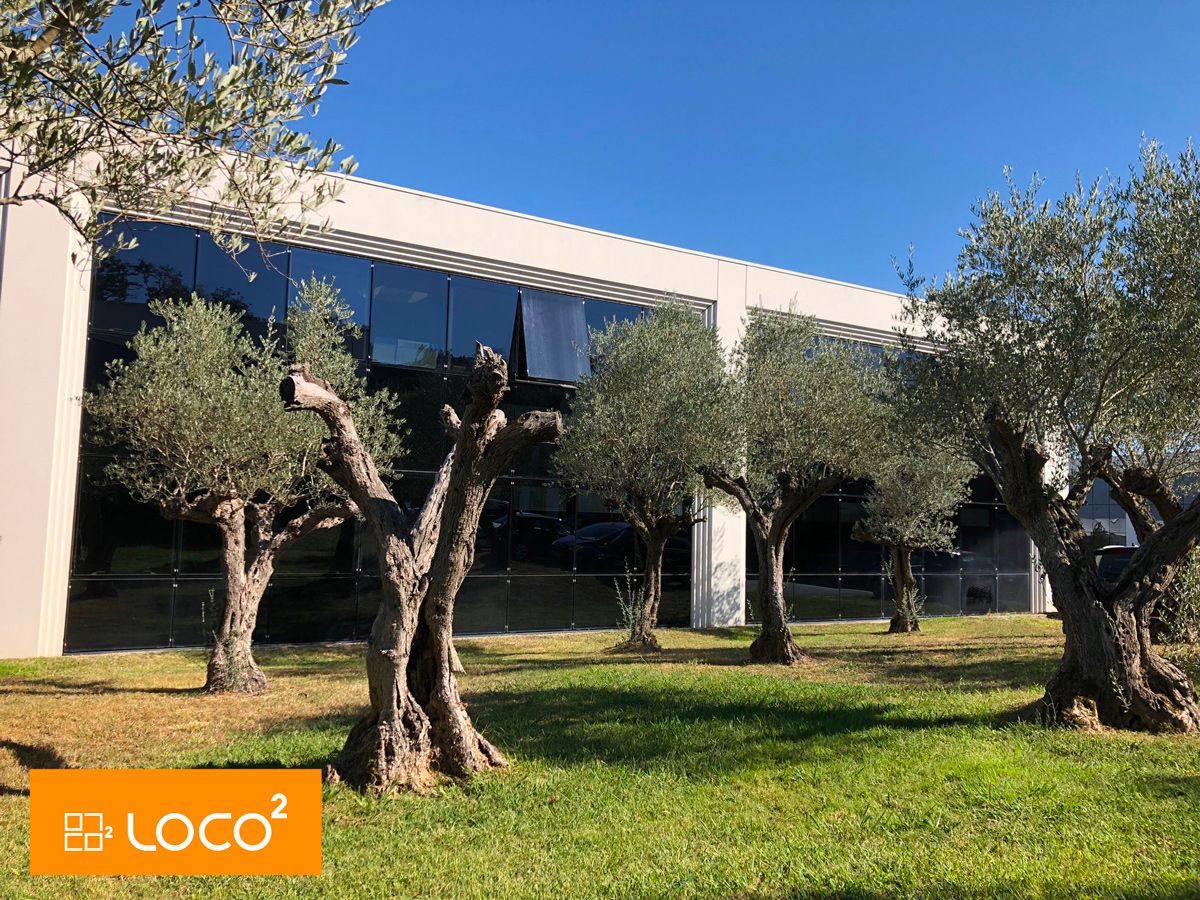 Location bureaux 203.00 m² à COLOMIERS