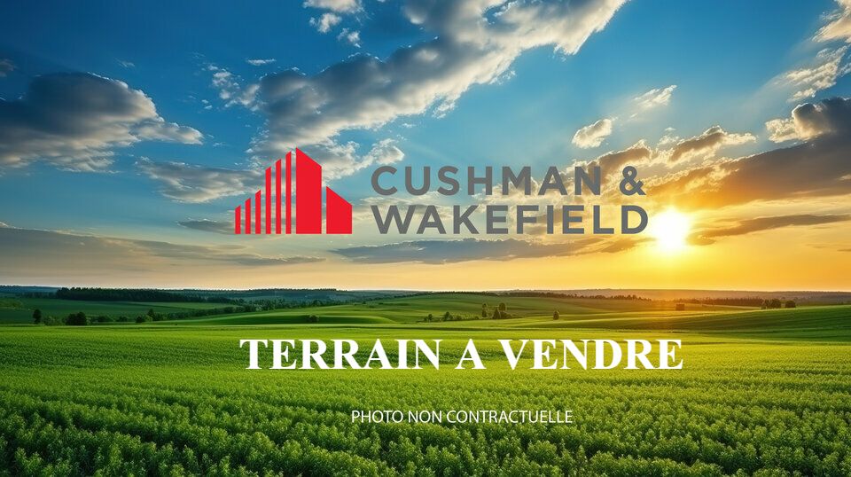 Vente terrain 200000 m² divisibles à partir de 20000 m²