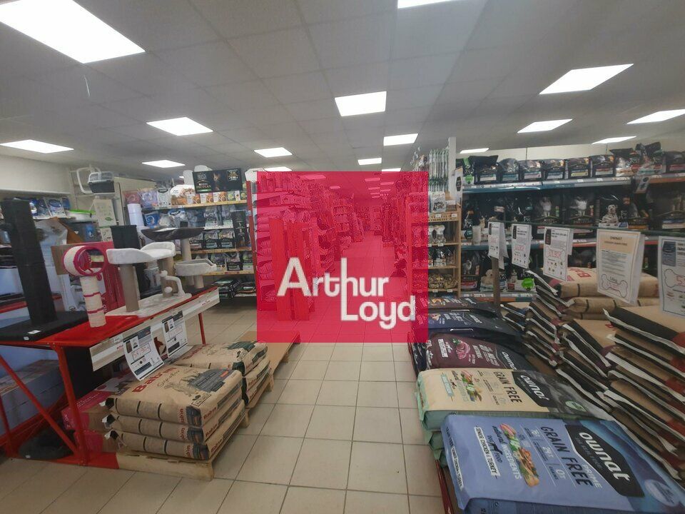 SECTEUR 63 A VENDRE JARDINERIE ANIMALERIE BRICOLAGE