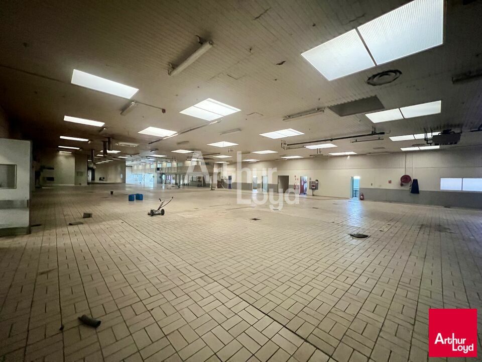 BETTON - LOCAL D'ACTIVITE A LOUER 8 700m² 