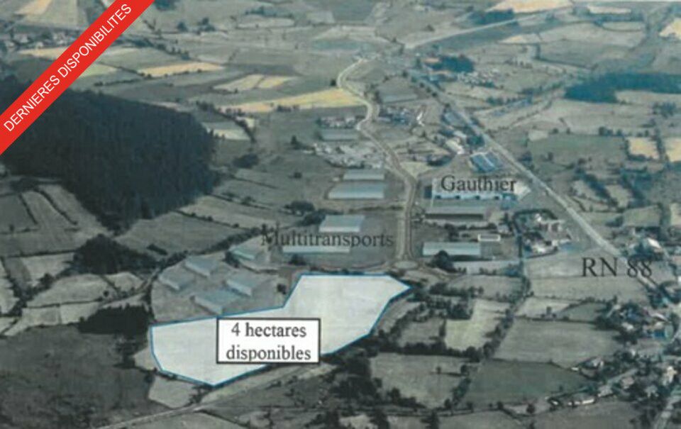 Vente terrain 40000 m² non divisibles