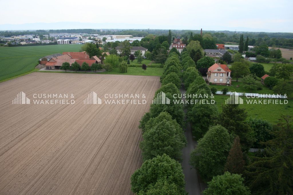 Location terrain 4947 m² non divisibles