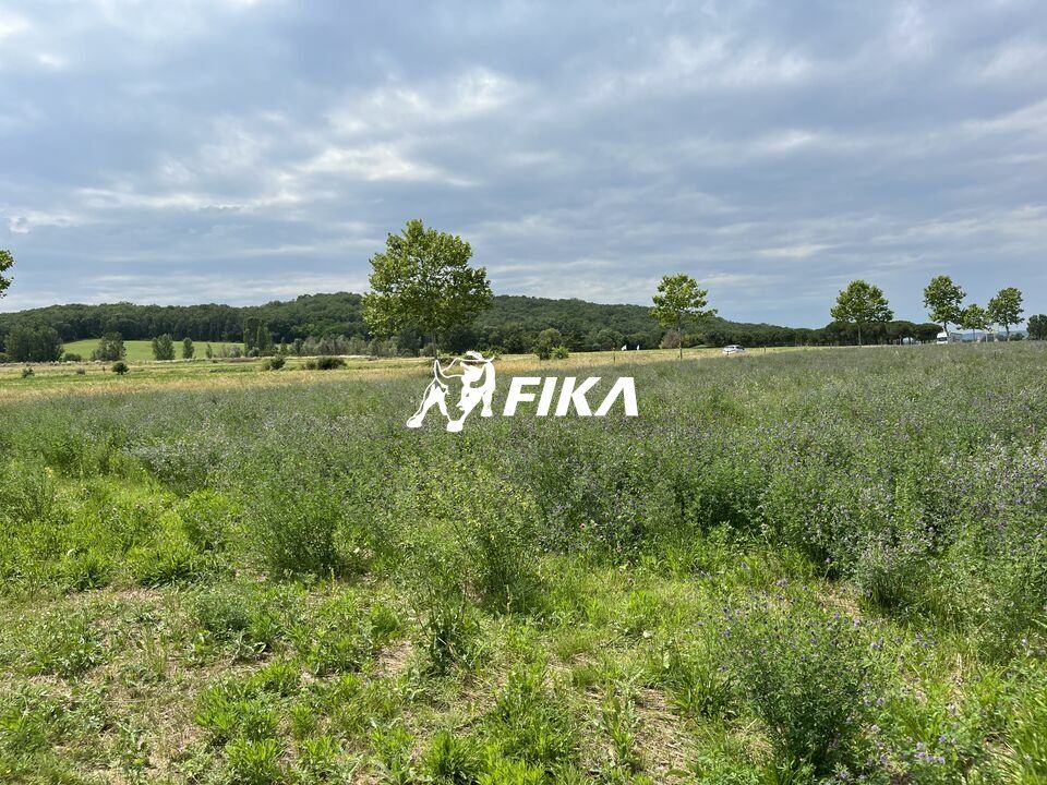 Vente terrain 20000 m² non divisibles