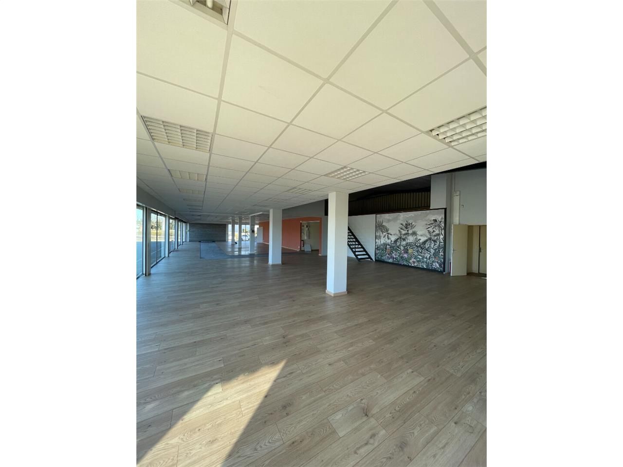 Location local commercial 400.00 m² à SAINT JUNIEN
