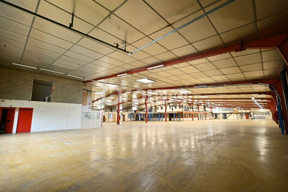 LOCAL D'ACTIVITE A LOUER / A VENDRE - 3 200 m² - RILLIEUX LA PAPE
