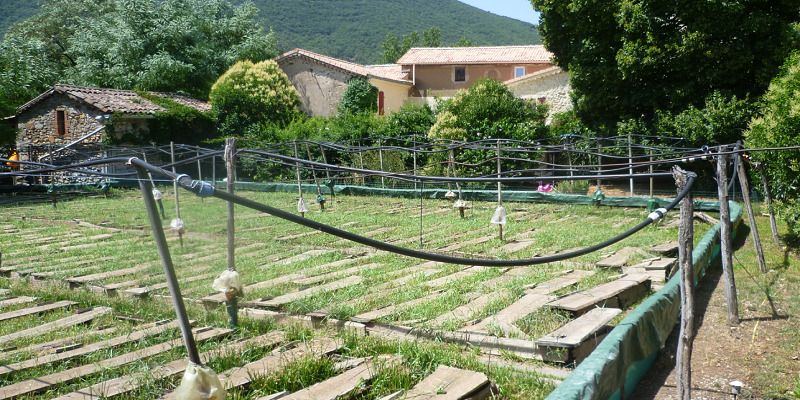 Vente entrepôts 410 m² non divisibles