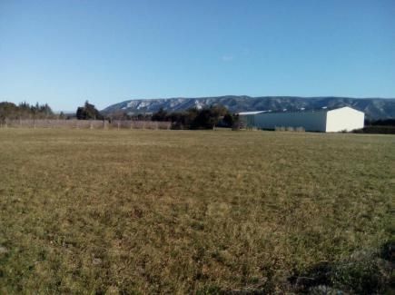 Vente terrain 43000 m² divisibles à partir de 13000 m²