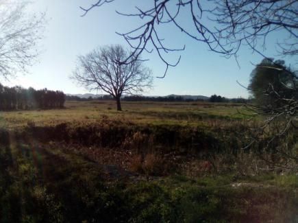 Vente terrain 43000 m² divisibles à partir de 13000 m²