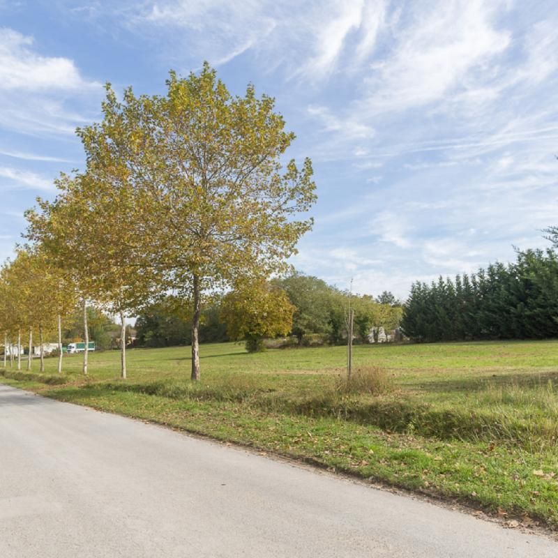 Vente terrain 7000 m² non divisibles