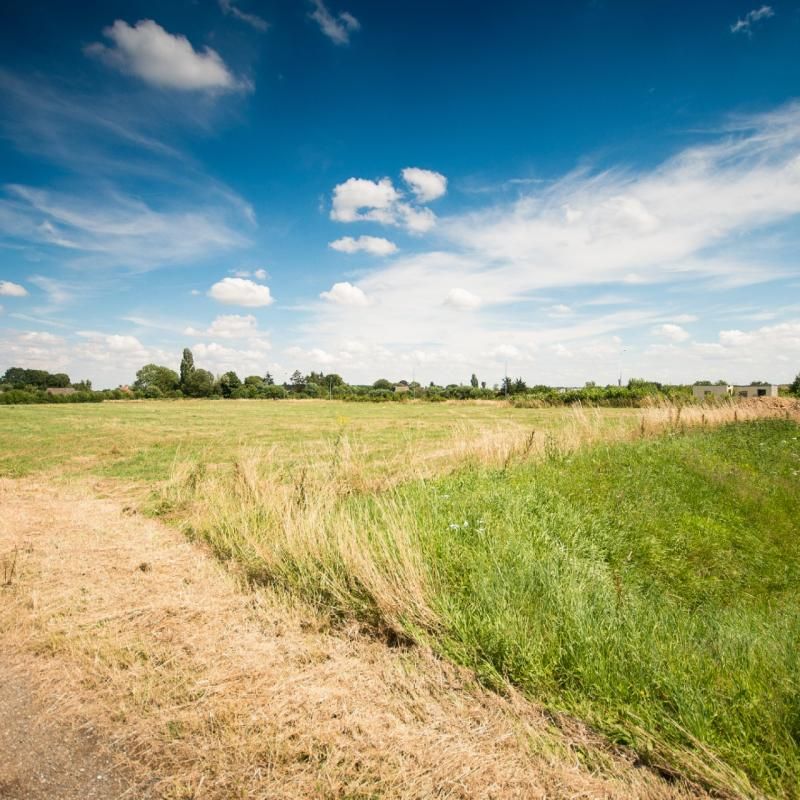 Vente terrain 10000 m² divisibles à partir de 1000 m²