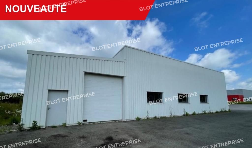Vente entrepôts 580 m² non divisibles