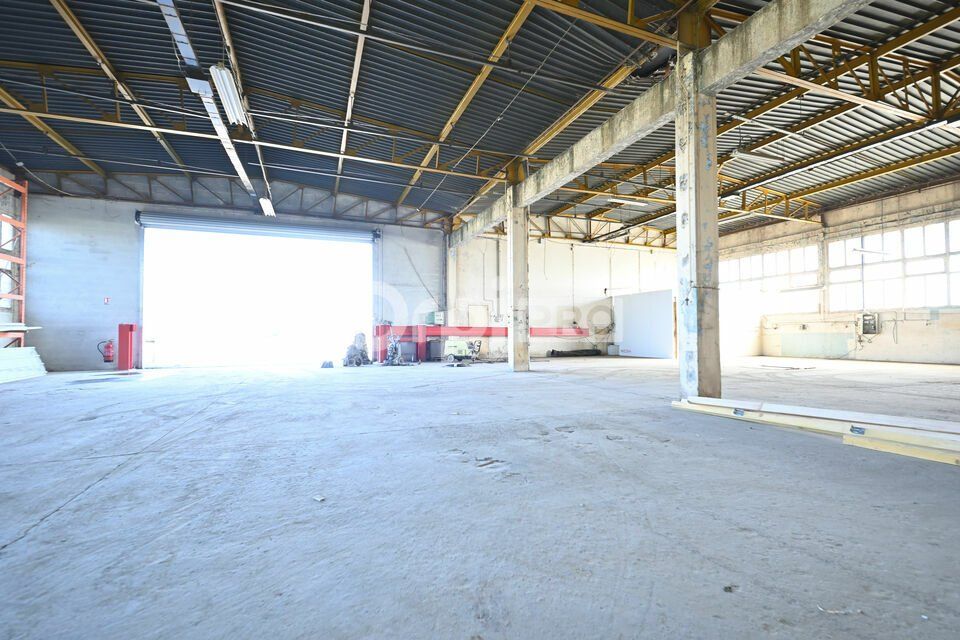 LOCAL D'ACTIVITE A LOUER - 800 m² - SAINT-PIERRE-DE-CHANDIEU