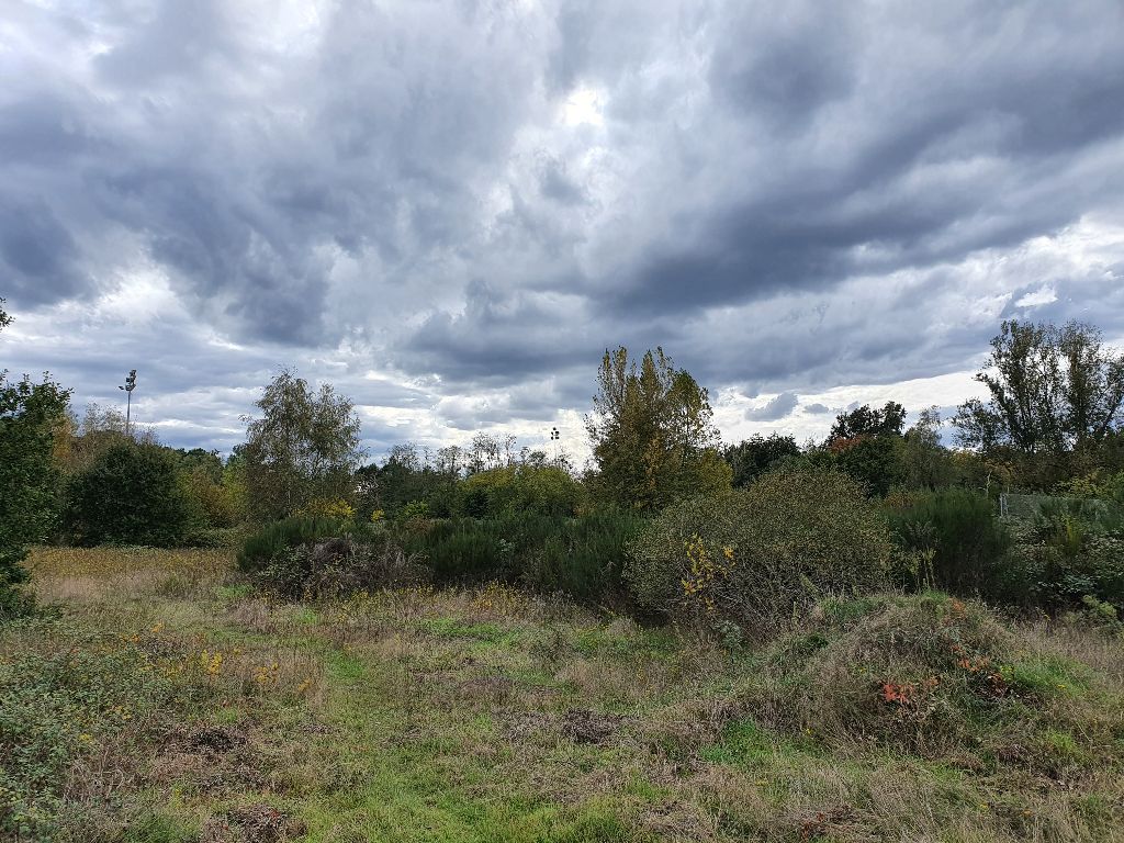 Vente terrain 3352.00 m² à CADAUJAC