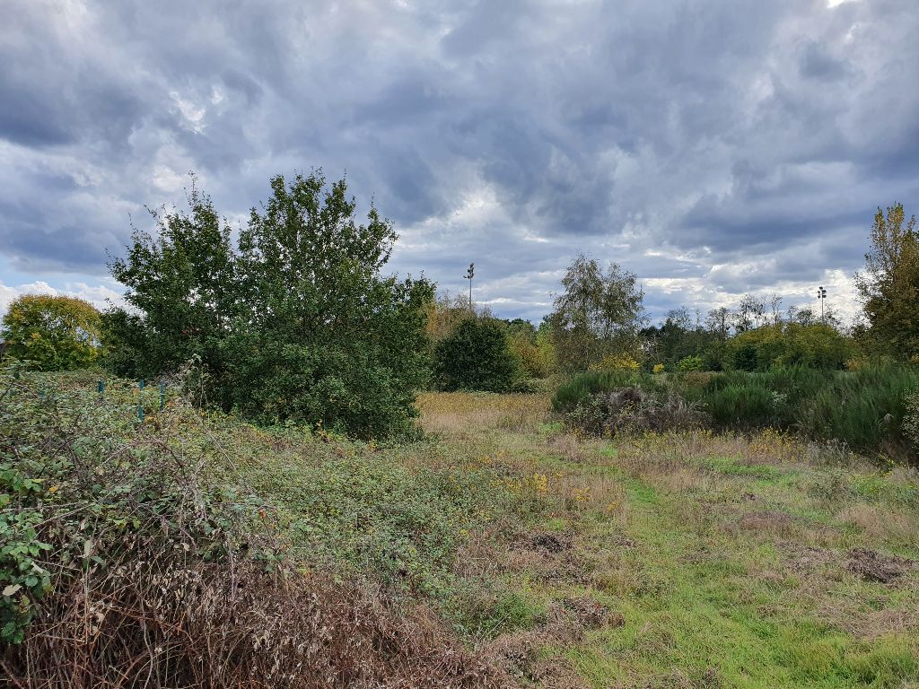 Vente terrain 3352.00 m² à CADAUJAC