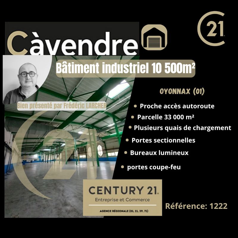 Vente local 10500.00 m² à OYONNAX