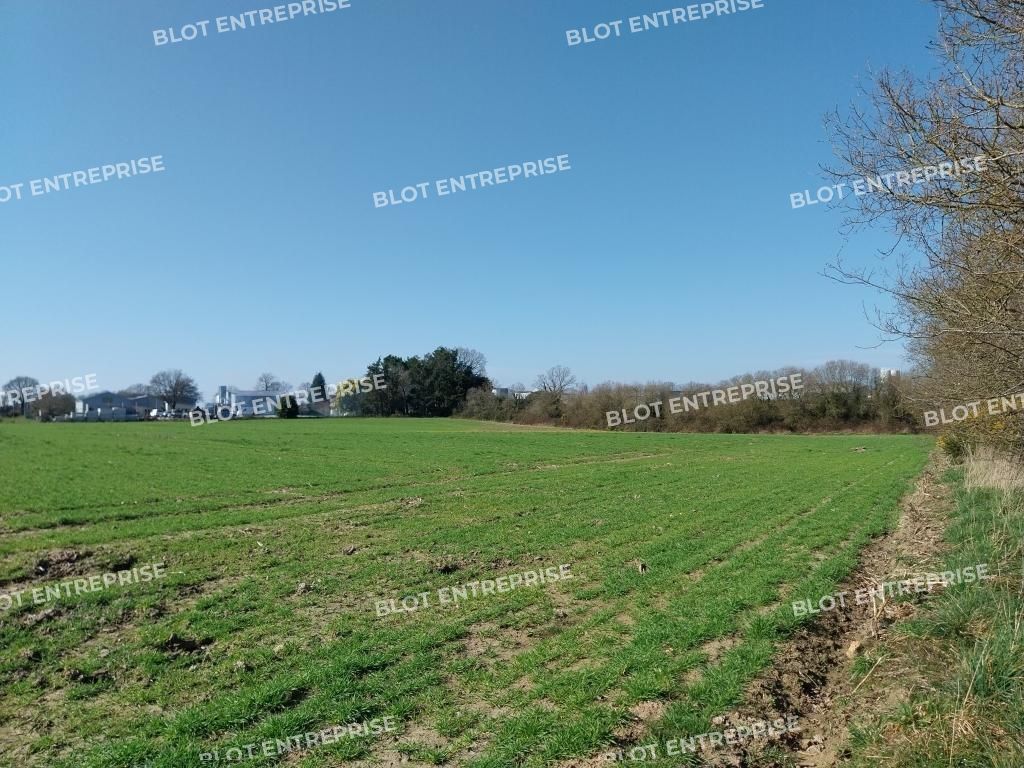 Vente terrain 25260 m² non divisibles