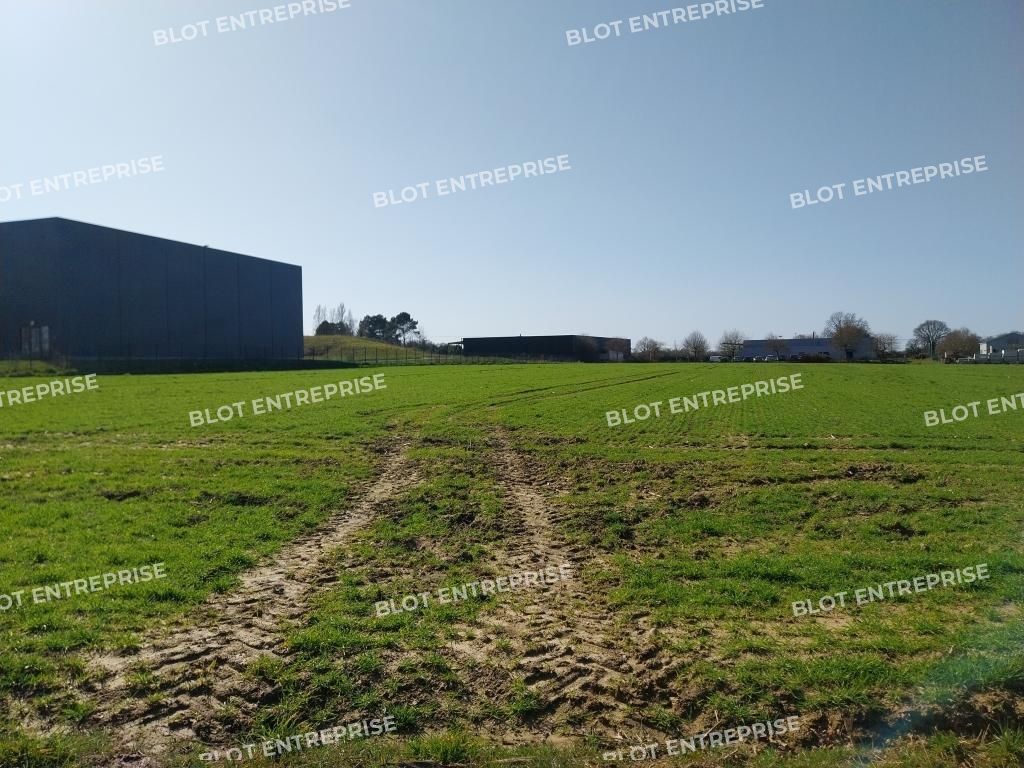 Vente terrain 25260 m² non divisibles