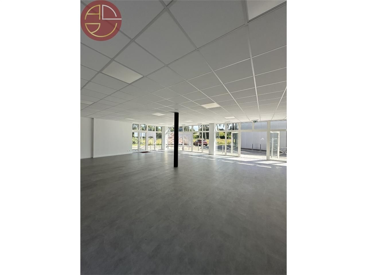 Vente local commercial 264 m² à MONTECH