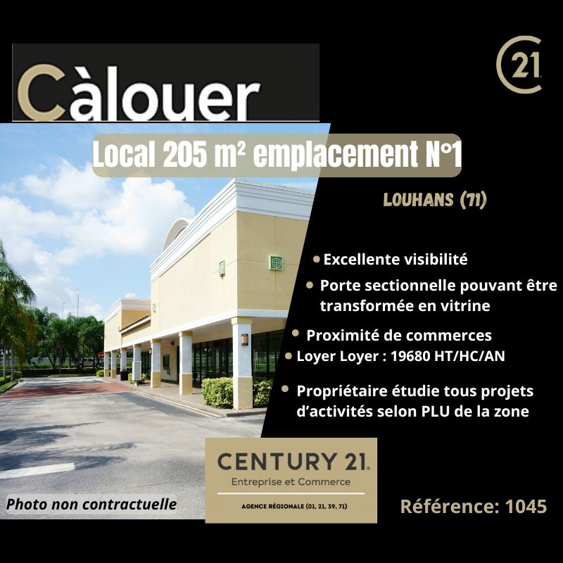 louhans cellule commerciale 205 m2 ou 410 m2 emplacement n°1