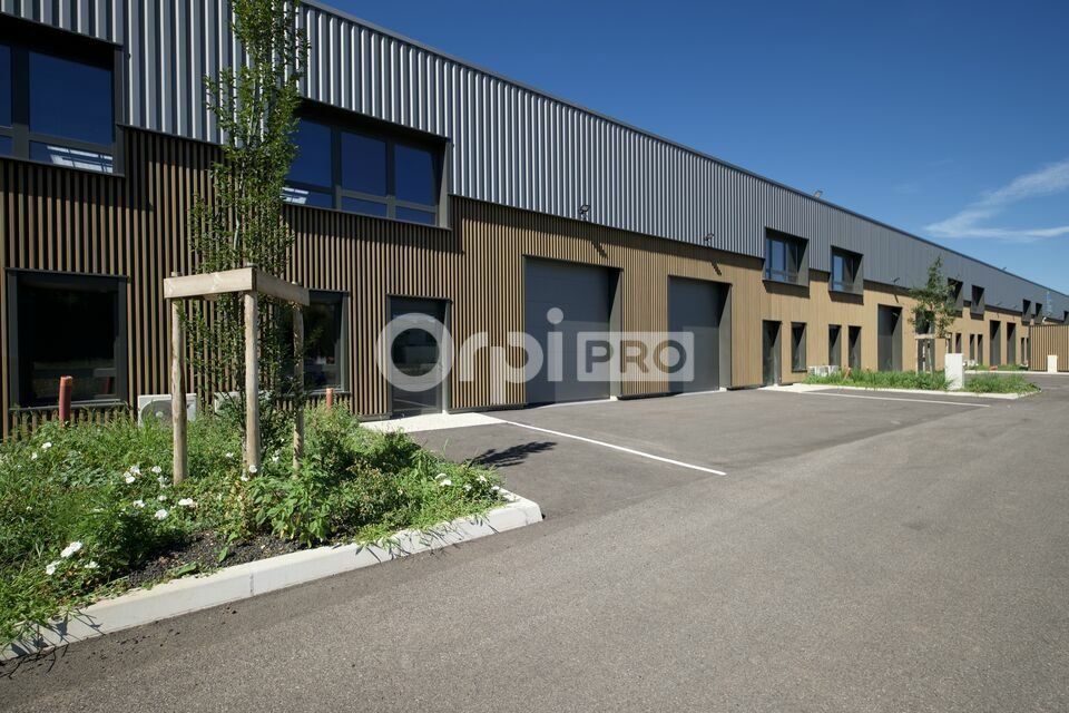Location local d''activites 767 m² divisibles à partir de 177 m²