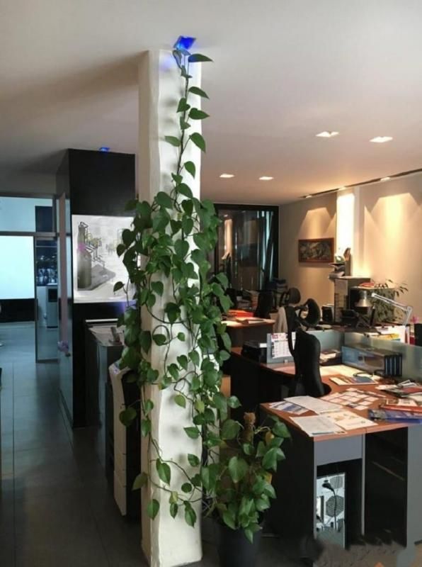 Location bureaux 101 m² non divisibles