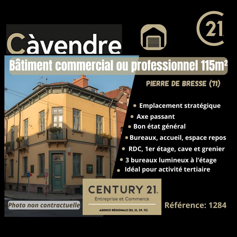Vente local commercial 115.00 m² à PIERRE DE BRESSE