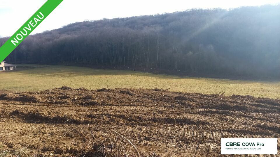 Vente terrain 10000 m² non divisibles