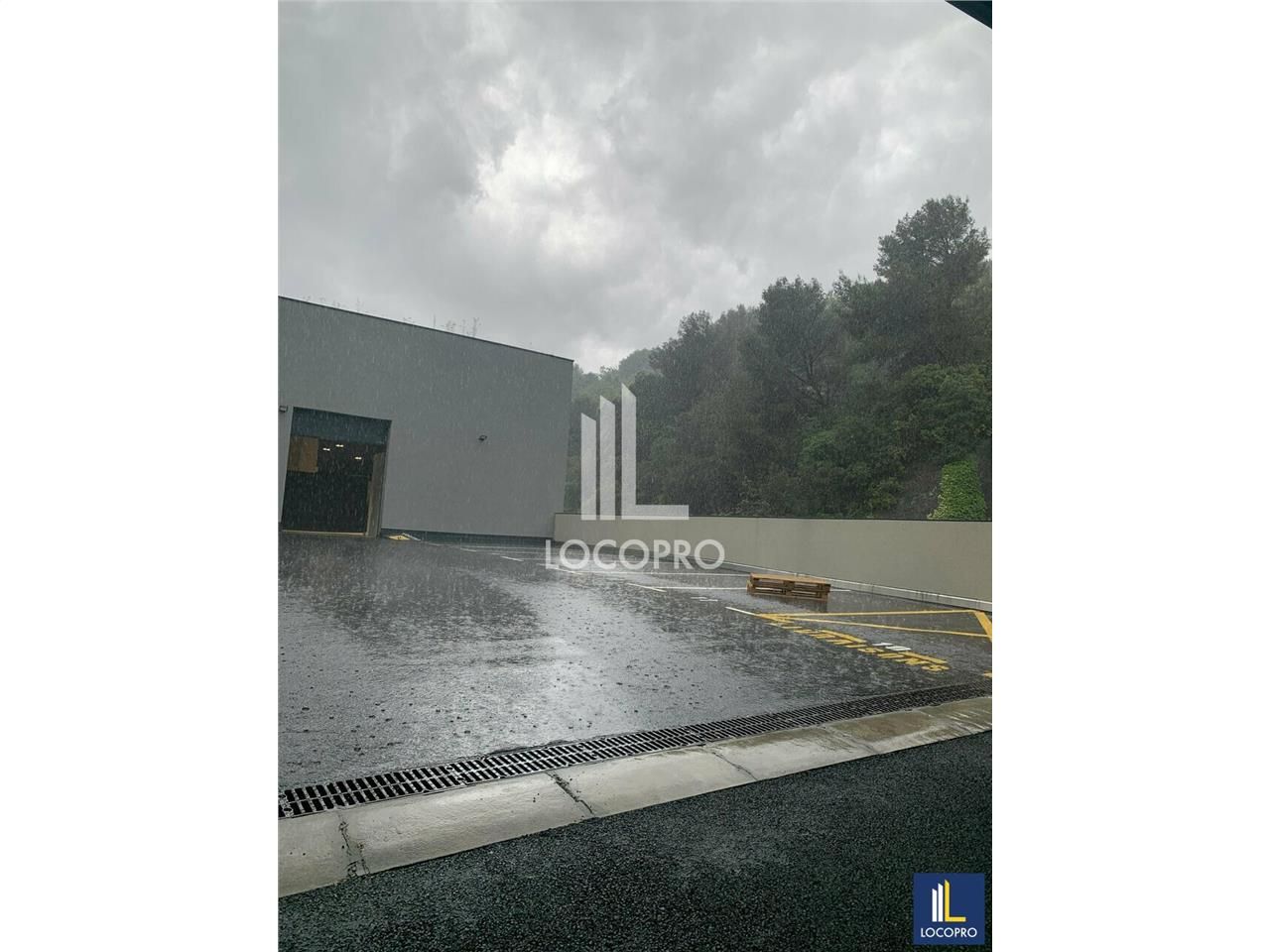 À VENDRE - LOCAL D'ACTIVITÉS NEUF - 250 M² - NICE