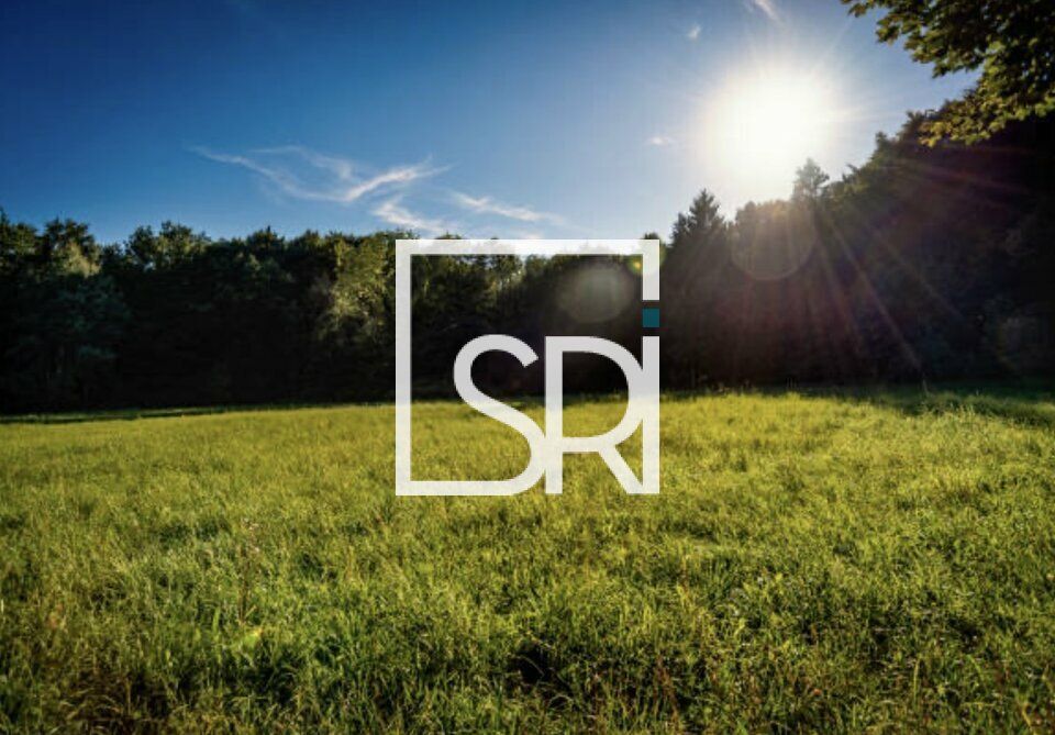 Vente terrain 14000 m² non divisibles