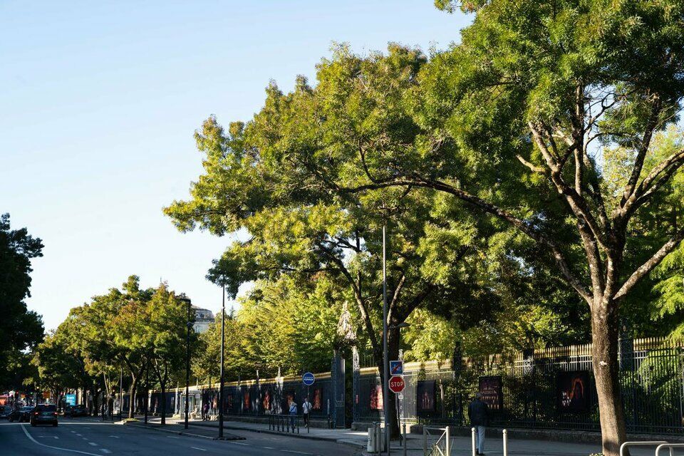 A CEDER DROIT AU BAIL - TRIANGLE D'OR