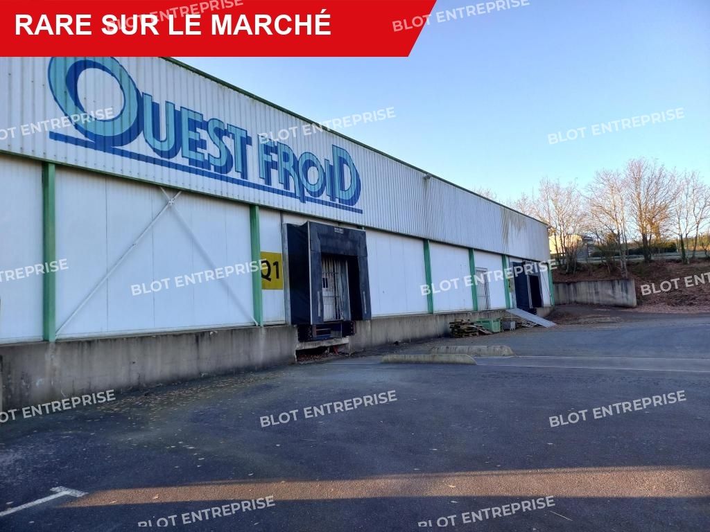 Vente entrepôts 4284 m² non divisibles